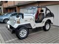 1995 Mitsubishi Jeep
