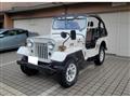 1995 Mitsubishi Jeep