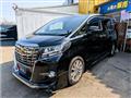 2017 Toyota Alphard G