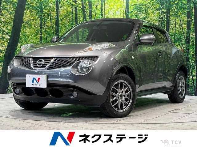 2011 Nissan Juke