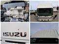 2013 Isuzu Elf Truck