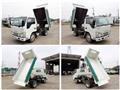 2019 Isuzu Elf Truck