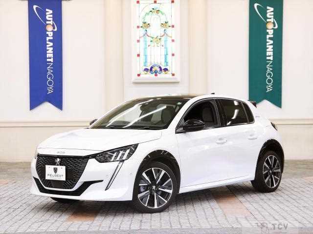 2020 Peugeot Peugoet Others