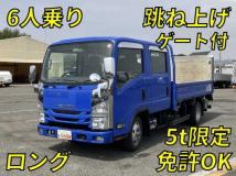 2017 Isuzu Elf Truck