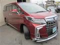 2022 Toyota Alphard G