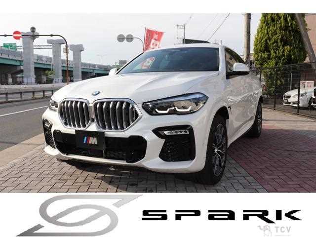 2020 BMW X6