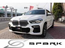 2020 BMW X6