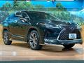 2019 Lexus RX