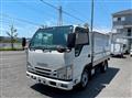 2019 Isuzu Elf Truck