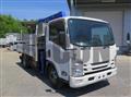 2019 Isuzu Elf Truck