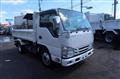 2020 Isuzu Elf Truck