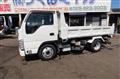 2020 Isuzu Elf Truck