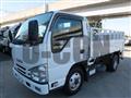 2019 Isuzu Elf Truck