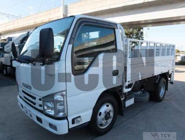 2019 Isuzu Elf Truck