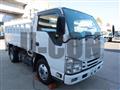 2019 Isuzu Elf Truck