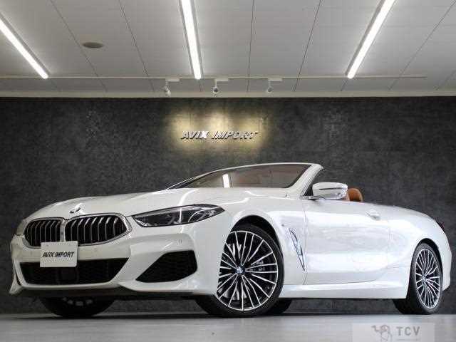 2019 BMW 8 Series