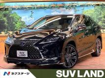 2020 Lexus RX