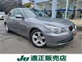 2010 BMW 5 Series