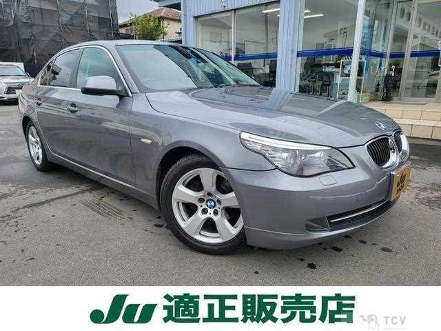 2010 BMW 5 Series