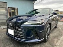 2024 Lexus RX