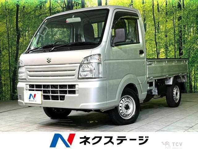 2019 Suzuki Carry Truck