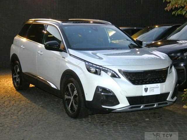 2020 Peugeot Peugoet Others
