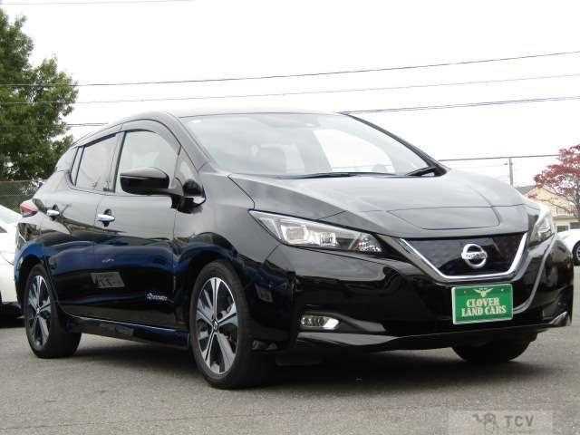 2019 Nissan Leaf