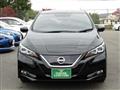 2019 Nissan Leaf