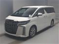 2020 Toyota Alphard G
