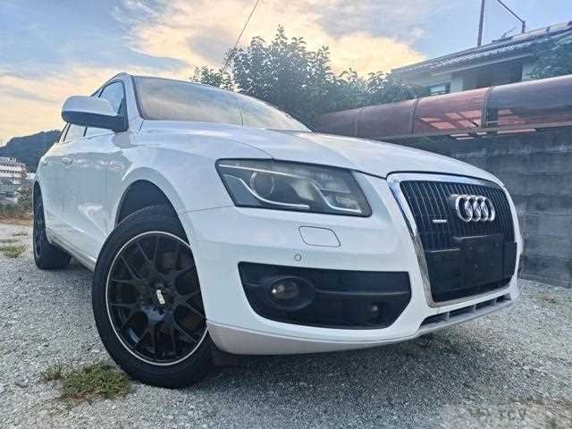 2010 Audi Q5