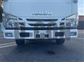 2016 Isuzu Elf Truck