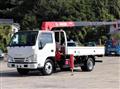 2017 Isuzu Elf Truck