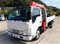 2017 Isuzu Elf Truck
