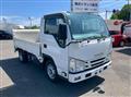 2020 Isuzu Elf Truck