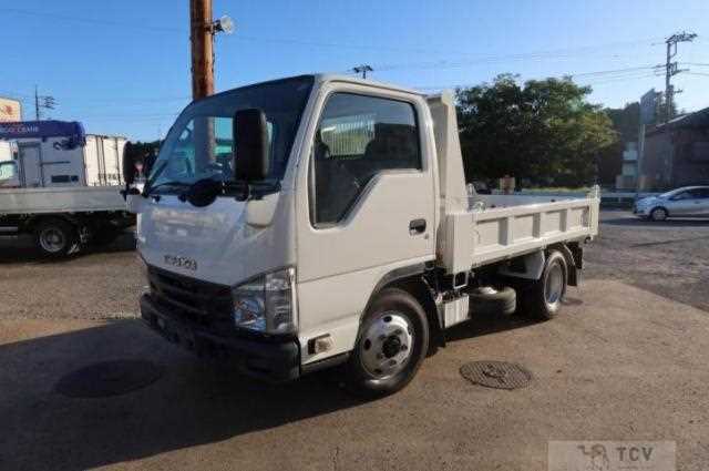 2019 Isuzu Elf Truck