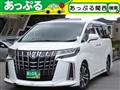 2021 Toyota Alphard G