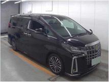 2019 Toyota Alphard G