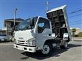 2021 Isuzu Elf Truck