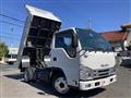2021 Isuzu Elf Truck