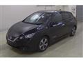 2021 Nissan Leaf