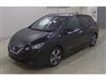 2021 Nissan Leaf