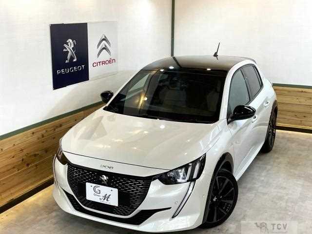 2021 Peugeot Peugoet Others