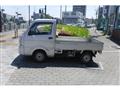 2020 Suzuki Carry Truck