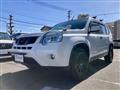2010 Nissan X-Trail