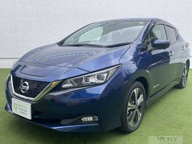 2021 Nissan Leaf