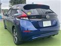 2021 Nissan Leaf
