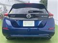 2021 Nissan Leaf
