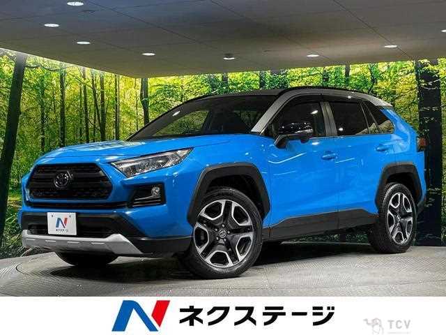 2019 Toyota RAV4