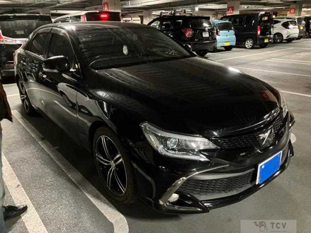 2010 Toyota Mark X