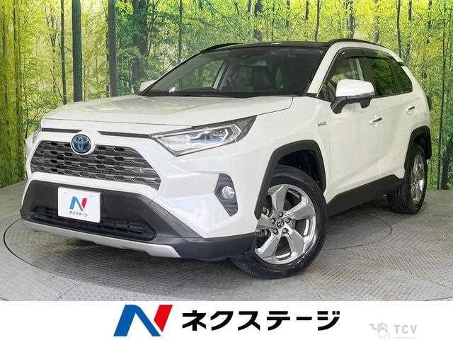 2019 Toyota RAV4